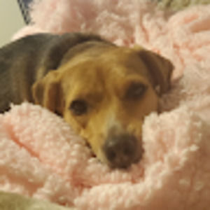 Meet your Posher, Claudia